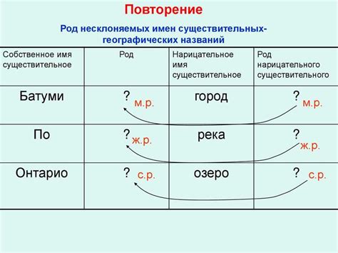 Происхождение и исторический контекст слова "жоним"