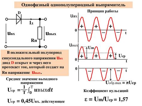 Проникающий голод: поиски источников питания