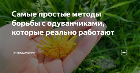 Простые методы борьбы