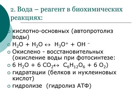 Протеин как участник множества биохимических процессов