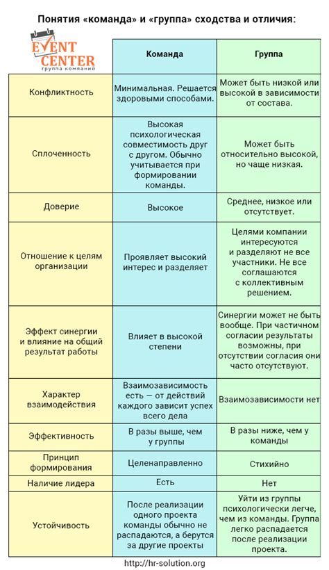 Профессиональные и любительские команды: отличия и сходства