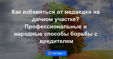 Профессиональные и народные