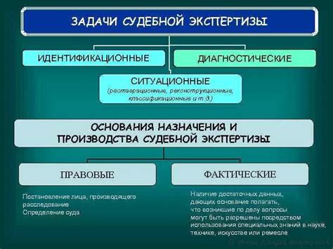 Профессия судебного эксперта МЧС: задачи и ответственность