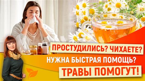 Профилактика и лечение простуды и ОРВИ