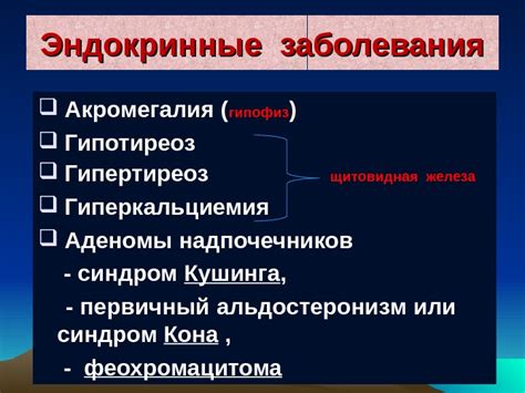 Профилактика и лечение эндокринных заболеваний у мужчин