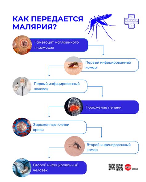 Профилактика малярии