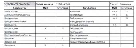 Профилактика Pseudomonas aeruginosa у собаки