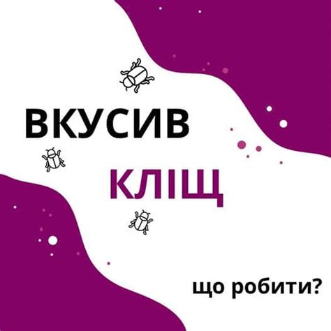 Профилактические меры и действия после укуса