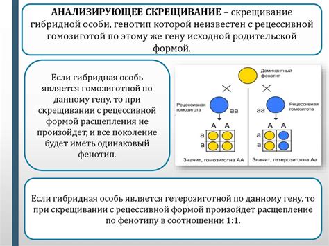 Процессы наследования генов