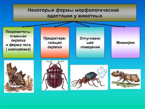 Процесс адаптации у животных