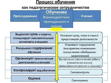 Процесс выбора и обучения