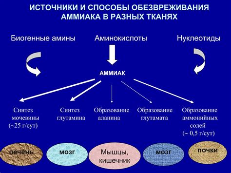 Процесс образования аммиака