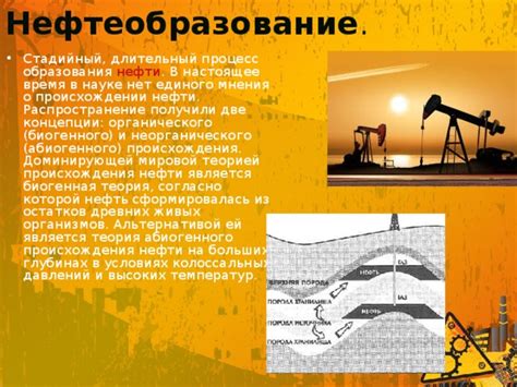 Процесс образования нефти