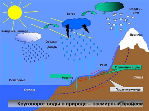 Процесс пересыхания реки