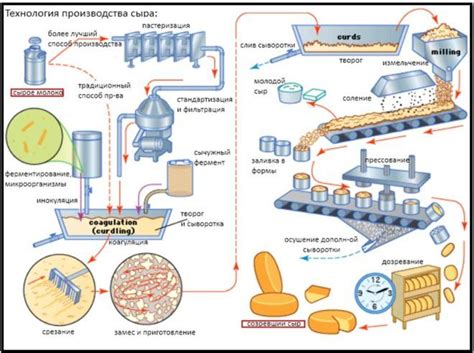 Процесс производства сыра