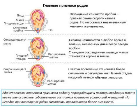 Процесс родов: поэтапная инструкция