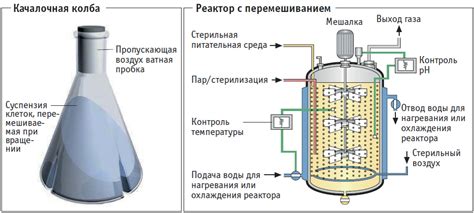 Процесс ферментации и дистилляции