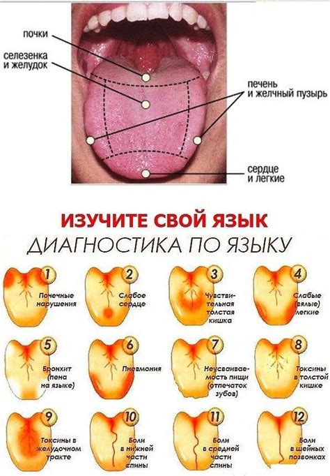 Прыщики на сосках: что они говорят о состоянии здоровья женщины?