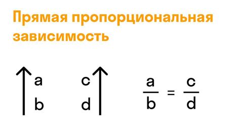 Прямая: определение и особенности