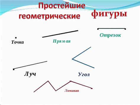 Прямая луч, отрезок, кривая и ломаная