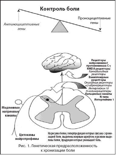 Психологические аспекты нервозности