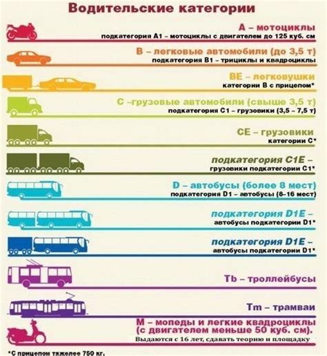 Пункты водительских прав и их значения: