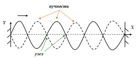 Пучность и узел стоячей волны