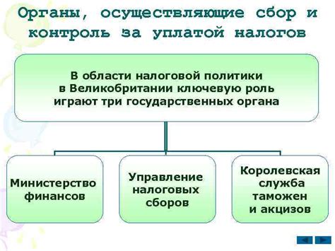 Работа в области налогового администрирования