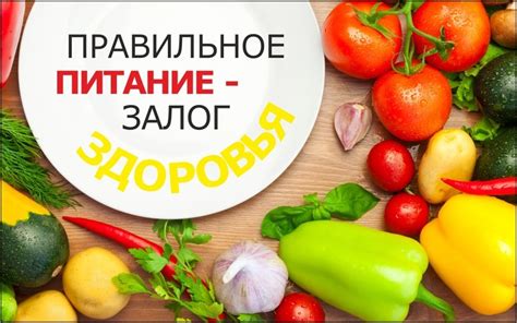 Работа с питательными продуктами