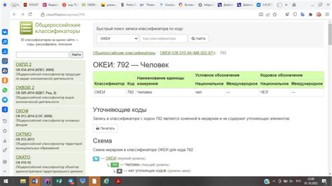 Разбор кодов ОКЕИ для 792 позиции - практический пример