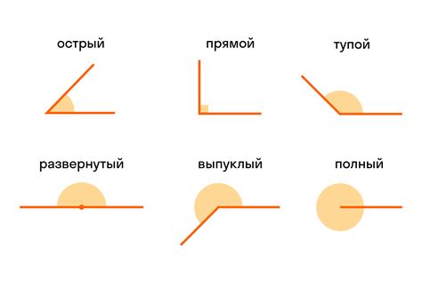 Развернутый угол и его характеристики