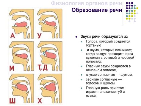 Развитие и совершенствование механизма антиципации в речи