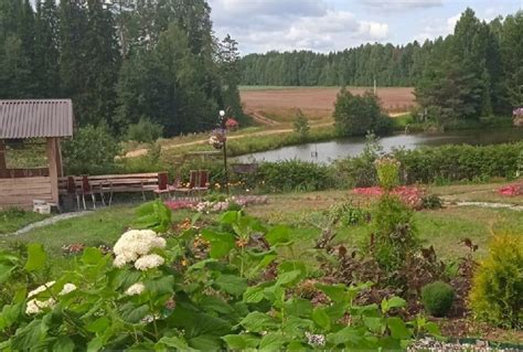 Развитие сельского туризма и гостевого приема