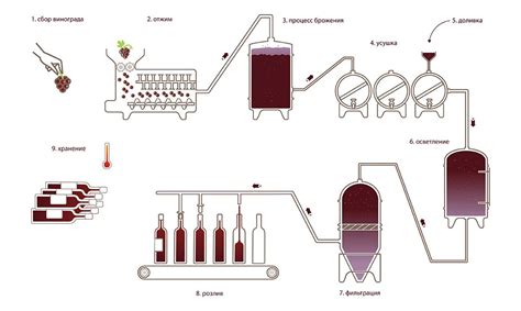 Развитие технологий производства вина