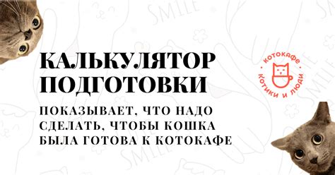 Раздел 1: Подготовка к открытию котокафе