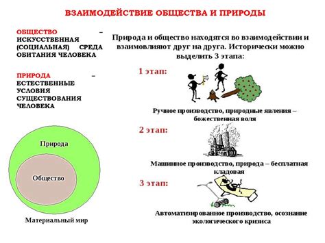 Раздел 2: Взаимодействие индивида и общества