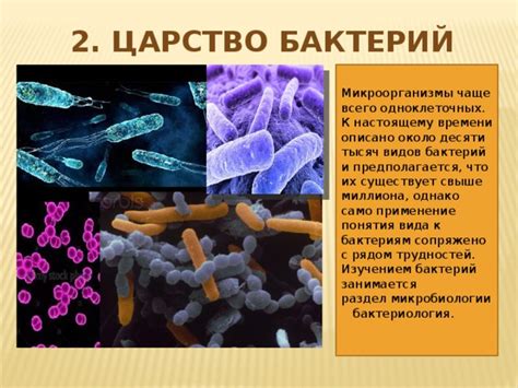 Раздел 3: Микроорганизмы и насекомые