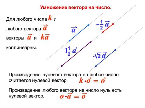 Раздел 3: Применение деления вектора на модуль вектора в физике