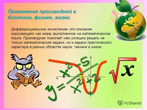 Различия в математическом подходе к физике и биологии