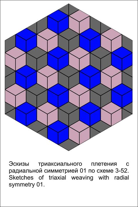 Различия между радиальной и билатеральной симметрией