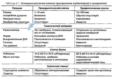 Различия между TVD и MD