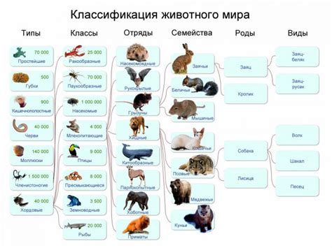 Различные виды животных в сновидениях