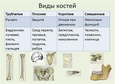 Различные виды податей