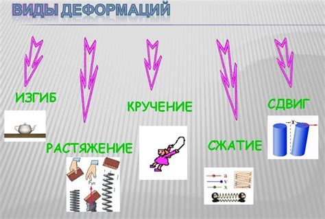 Различные виды упругости и их особенности