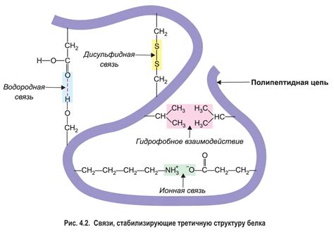 Различные типы молекул и их роль в жизни