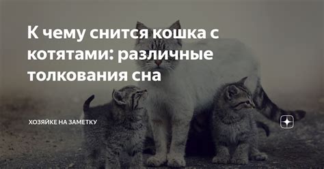 Различные толкования сна со сметаной