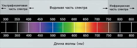 Размеры и цвета в сновидениях