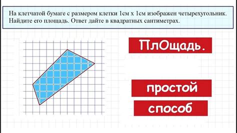 Размер и площадь