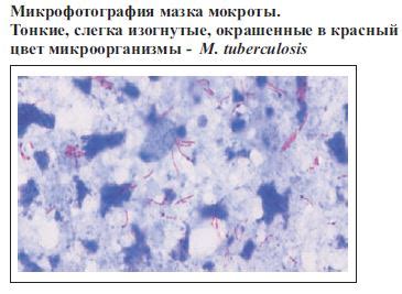 Разнообразие красителей для различных видов микроорганизмов и целей их исследования