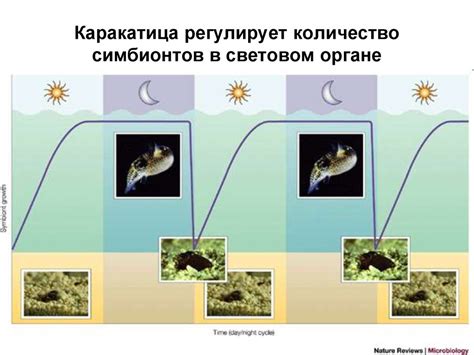 Разнообразие реакций